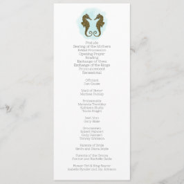 Programa de casamiento de caballitos de mar de col