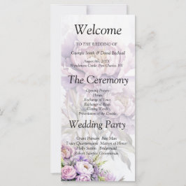 Programa de casamiento para peones de lavadora acu