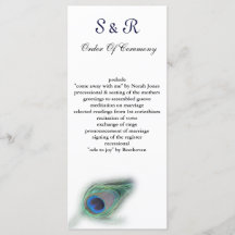 programa de casamiento por pavo real