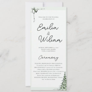 Programa de Ceremonia Boda de navidades