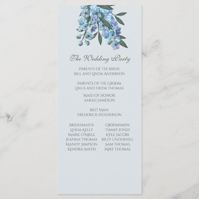 Programa de Delfino Floral Azul (Reverso)