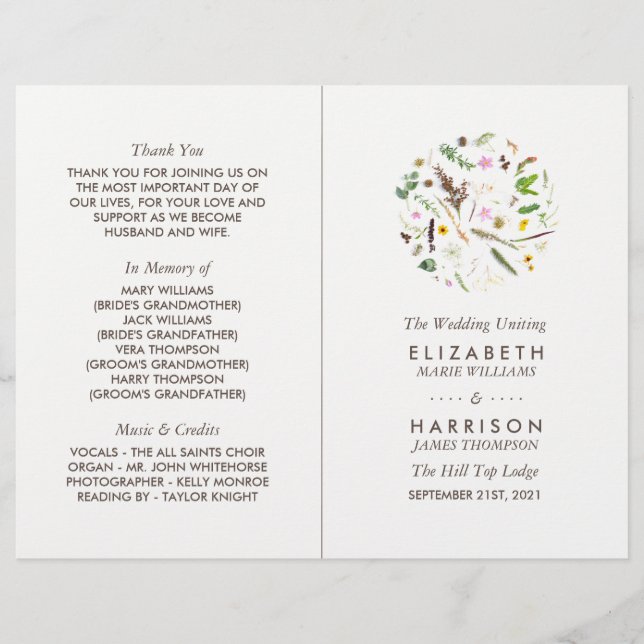 Programa de Flor Silvestre Botánica Sencilla (Anverso)