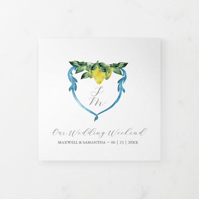 Programa de la boda con tema de limón  (Foto de portada)
