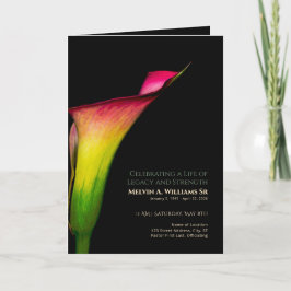 Programa de Lirio de Calla Rojo Amarillo Verde Mem