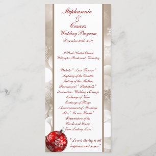 Programa de matrimonio 25 4x9 Desenfoque invernal