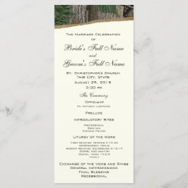 Programa de Matrimonio de Árbol Natural y Salida d