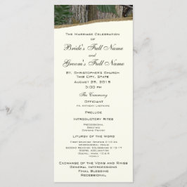 Programa de Matrimonio de Árbol Natural y Salida d
