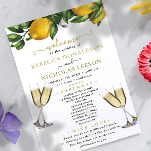 Programa de matrimonio de caligrafía elegante de l