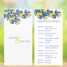 Programa de matrimonio mediterráneo-lemones-