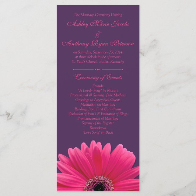 Programa de Matrimonio Púrpura de Gerbera Daisy Pi (Anverso)