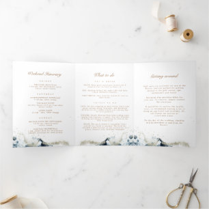 Programa de matrimonio tripartito de ondas acuátic