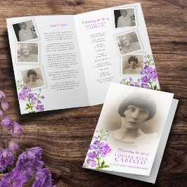 Programa de servicio funerario fotos de delfinio m