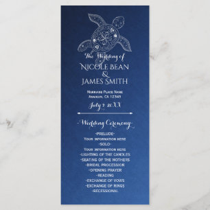 Programa de Tortuga Marina Hawaiana Blanca en Play