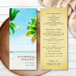 Programa Destino de Boda de Playa Tropical Retro con Palmer