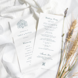 Programa Elegante Boda barroco azul turbio