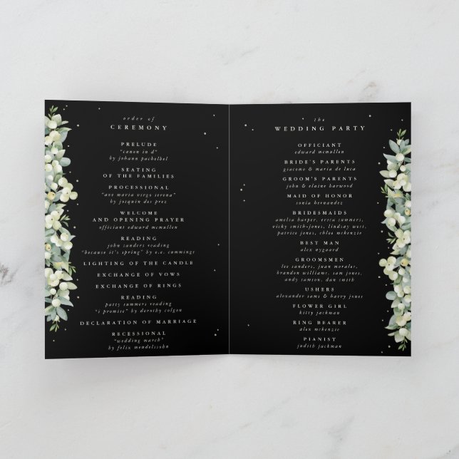 Programa Elegante Boda de Invierno Black Snowberry+Eucalypt (Interior)