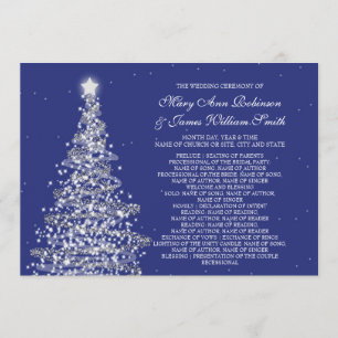 Programa Elegante boda de Navidad plata marina