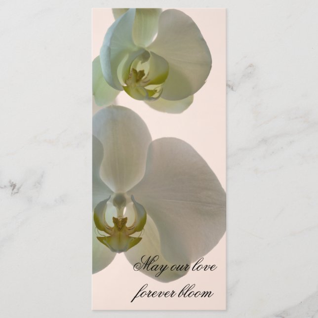 Programa Elegante Boda de orquídeas blancas (Anverso)