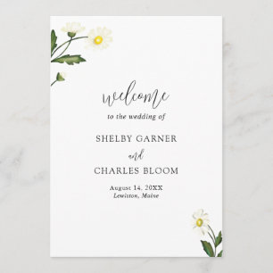 Programa Elegante Boda floral de margarita blanca