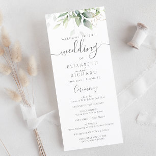 Programa Elegante Eucalyptus deja Boda de oro de la vegetac