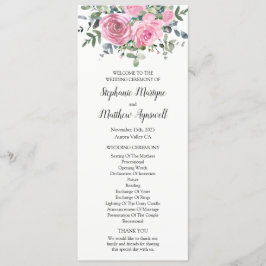 Programa Eucalipto Floral Rosa Polvoriento Botánico