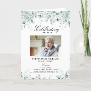 Programa Eucalyptus deja orden de servicio Monumento conm