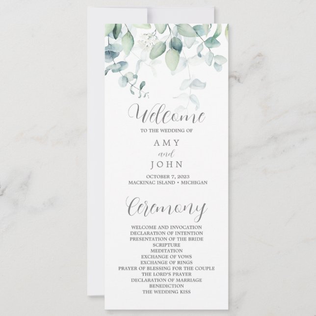 Programa Eucalyptus para Amy (Anverso)