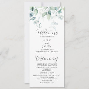 Programa Eucalyptus para Amy