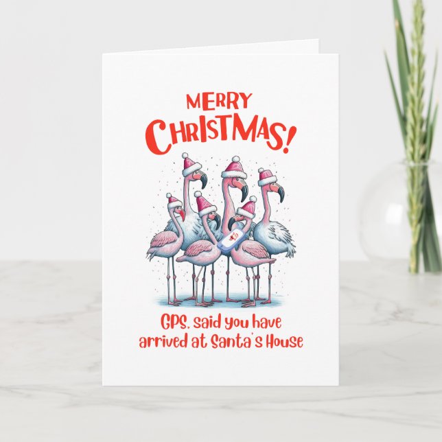 Programa Feliz Navidad Flamingos visitando Santa (Anverso)