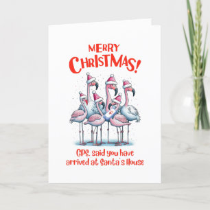 Programa Feliz Navidad Flamingos visitando Santa