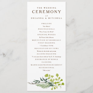 Programa Fern Eucalyptus Boda de la vegetación de mano