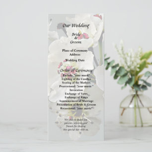 Programa Flor de Blossoms de pera blanca