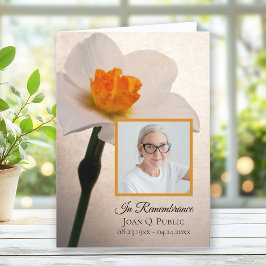 Programa Funeral de Primavera de Daffodil Blanco doblado