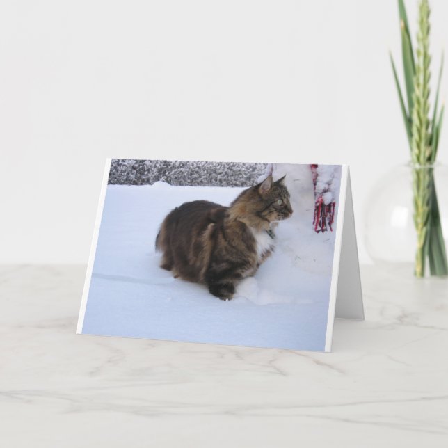 Programa gato del bosque noruego en la nieve (Anverso)