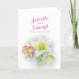 Programa Hellebores de manantial de color agua boda plegado