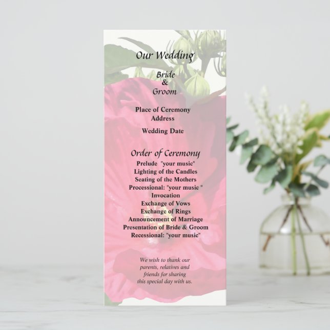 Programa Hibiscus rosado oscuro (Anverso de pie)