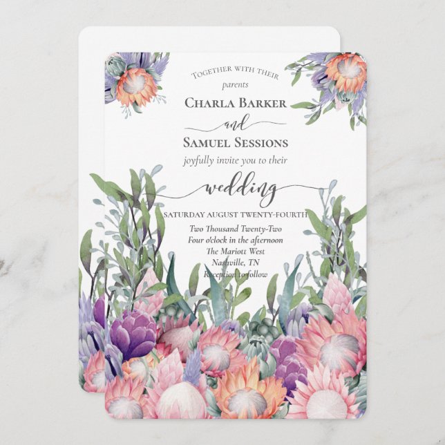 Programa King Protea Bright Colored Exotic Flowers  Program (Anverso / Reverso)