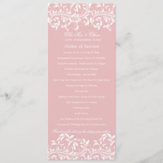 Programa La Sarah Jane Pink y la Orden blanca del servicio