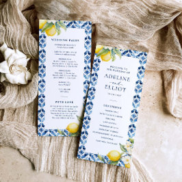Programa Lemon Blue Tile Mediterranean Boda