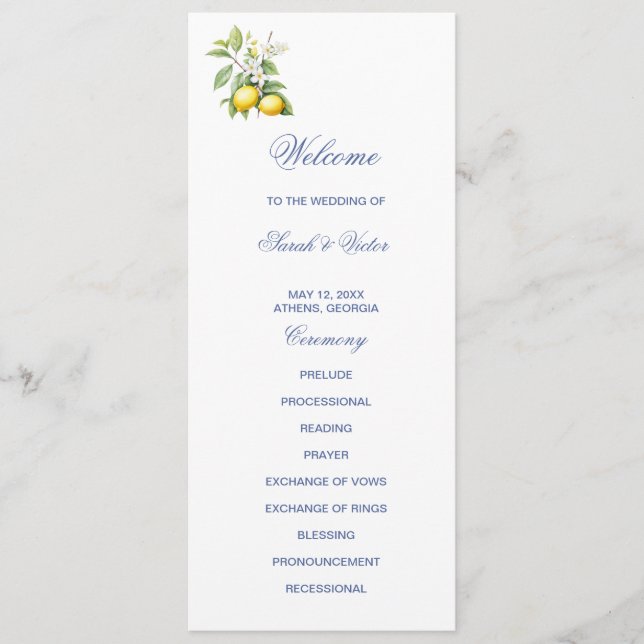 Programa Lemons Double Sided Flat Program (Anverso)