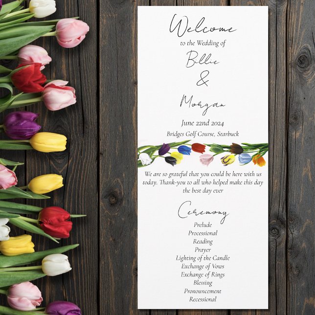 Programa LGBTQ más Tulips Flowers (Subido por el creador)