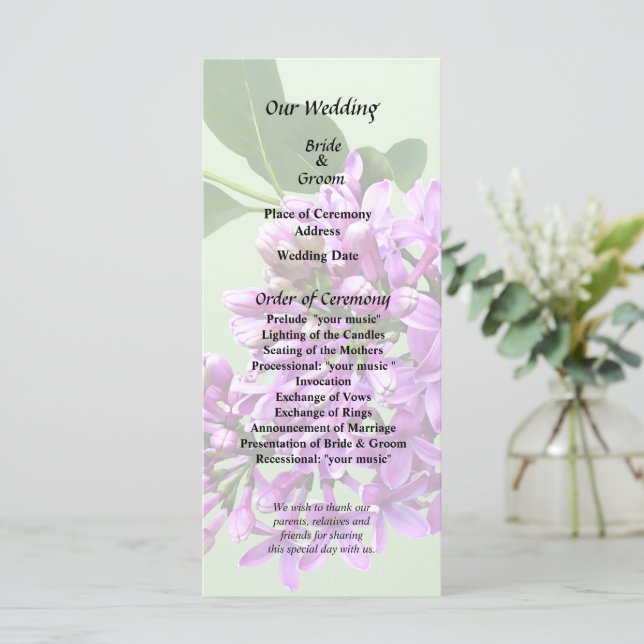 Programa Lilios Lovely (Anverso de pie)