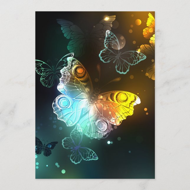 Programa Mariposa luminosa y mariposas nocturnas (Anverso)