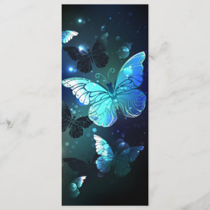 Programa Mariposa nocturna fluida