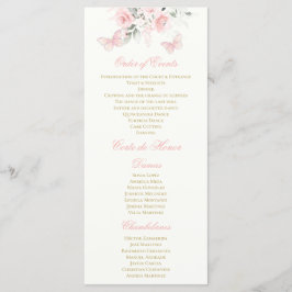 Programa Mariposa rosa Quinceañera