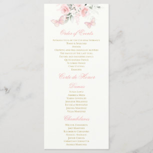 Programa Mariposa rosa Quinceañera