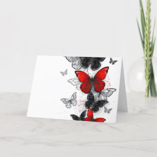 Programa Mariposas Morpho voladoras negras y rojas