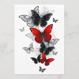 Programa Mariposas Morpho voladoras negras y rojas