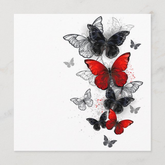 Programa Mariposas Morpho voladoras negras y rojas (Anverso)