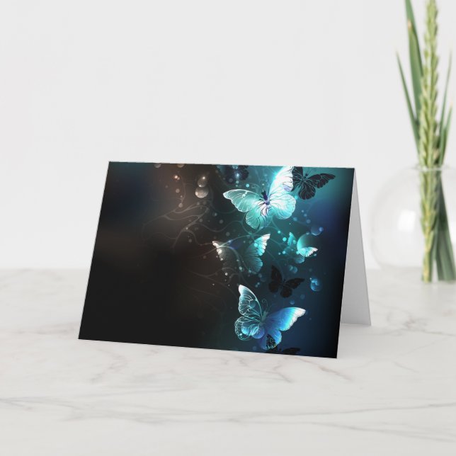 Programa Mariposas nocturnas (Anverso)